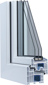 salamander-blue-evolution